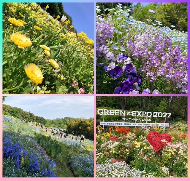 里山ガーデン202602